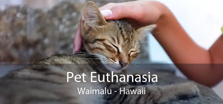Pet Euthanasia Waimalu - Hawaii