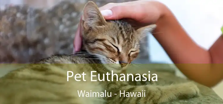 Pet Euthanasia Waimalu - Hawaii