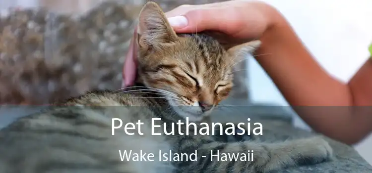 Pet Euthanasia Wake Island - Hawaii