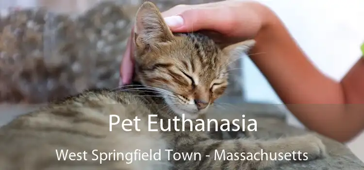 Pet Euthanasia West Springfield Town - Massachusetts