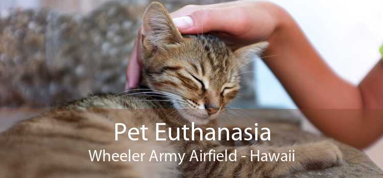 Pet Euthanasia Wheeler Army Airfield - Hawaii
