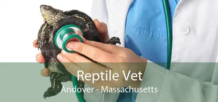 Reptile Vet Andover - Massachusetts