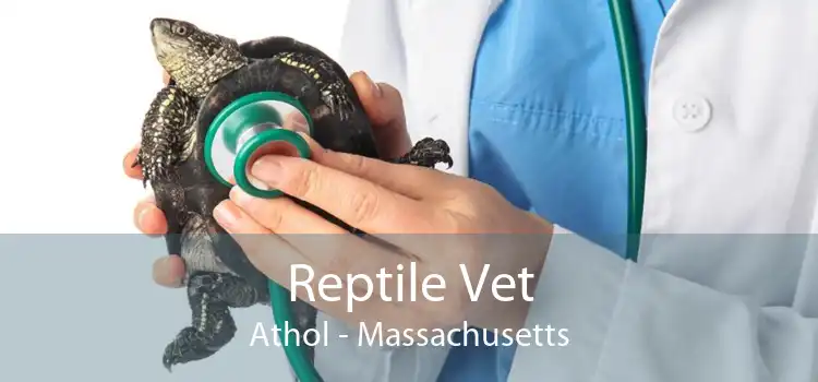 Reptile Vet Athol - Massachusetts
