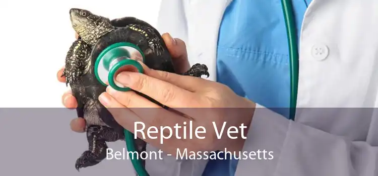Reptile Vet Belmont - Massachusetts