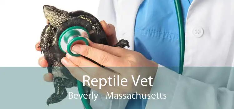 Reptile Vet Beverly - Massachusetts