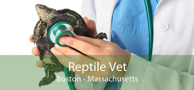 Reptile Vet Boston - Massachusetts