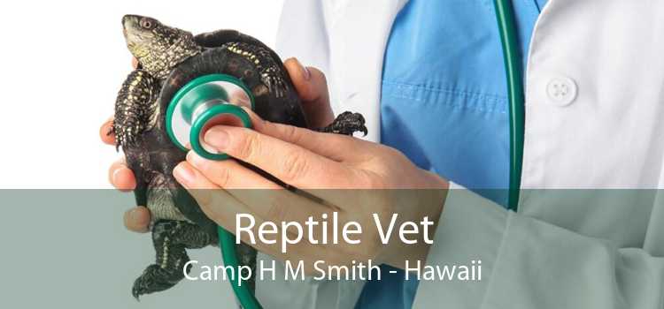 Reptile Vet Camp H M Smith - Hawaii