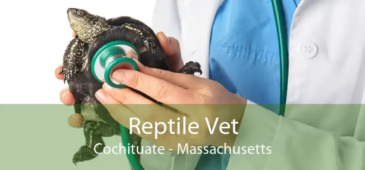 Reptile Vet Cochituate - Massachusetts