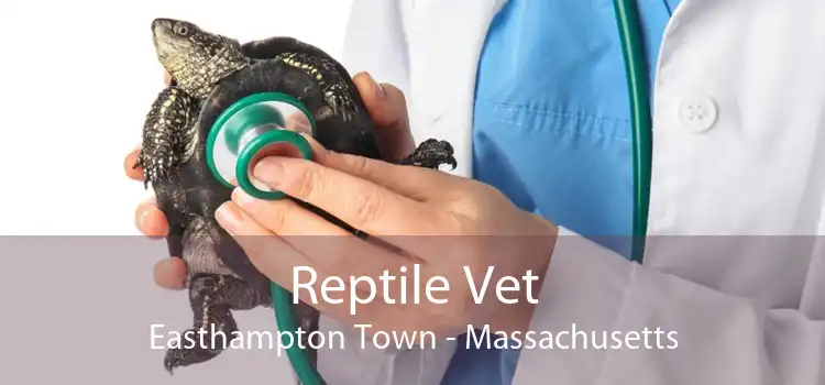 Reptile Vet Easthampton Town - Massachusetts