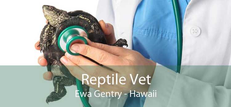 Reptile Vet Ewa Gentry - Hawaii
