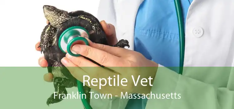 Reptile Vet Franklin Town - Massachusetts