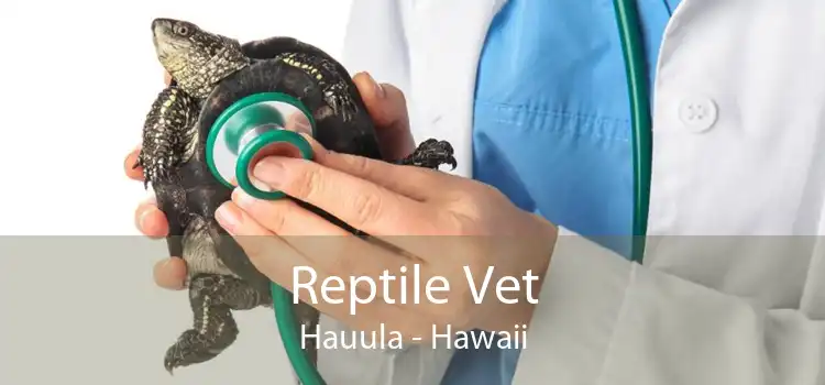 Reptile Vet Hauula - Hawaii