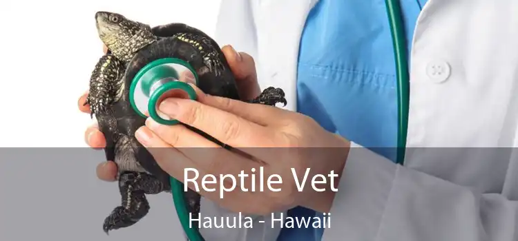 Reptile Vet Hauula - Hawaii
