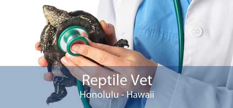 Reptile Vet Honolulu - Hawaii