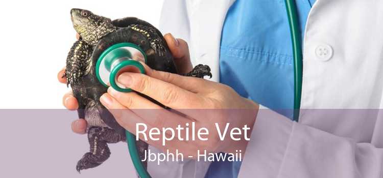 Reptile Vet Jbphh - Hawaii