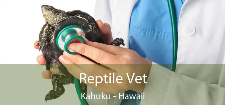 Reptile Vet Kahuku - Hawaii