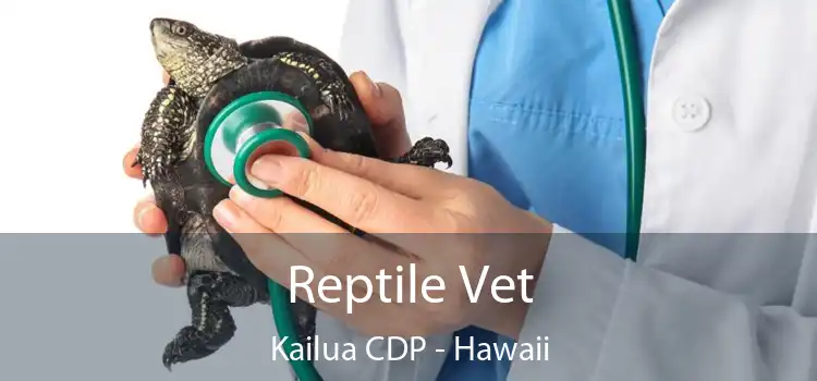Reptile Vet Kailua CDP - Hawaii