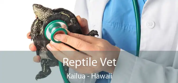 Reptile Vet Kailua - Hawaii