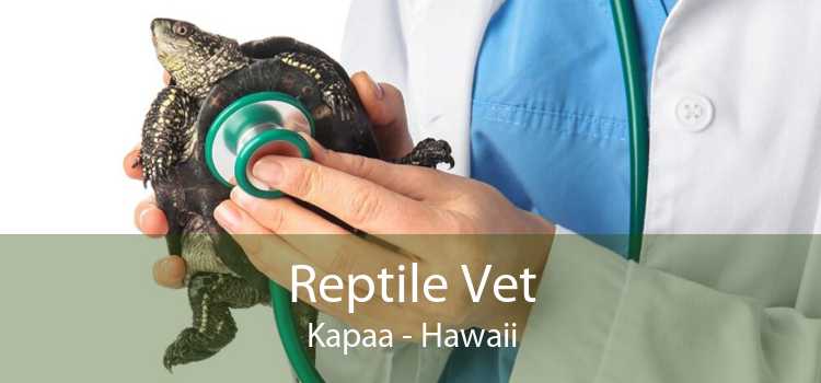 Reptile Vet Kapaa - Hawaii