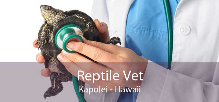 Reptile Vet Kapolei - Hawaii