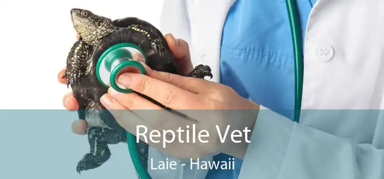 Reptile Vet Laie - Hawaii