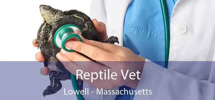 Reptile Vet Lowell - Massachusetts