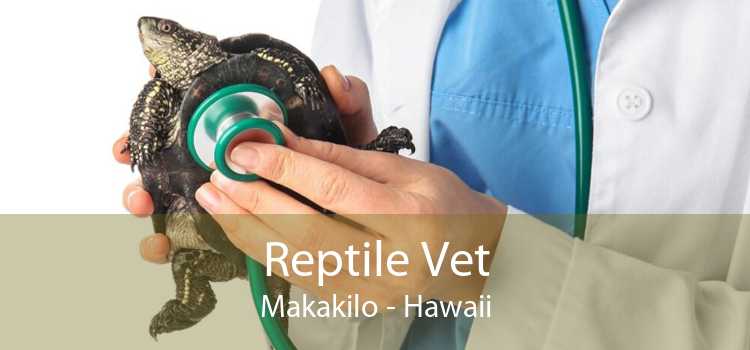Reptile Vet Makakilo - Hawaii
