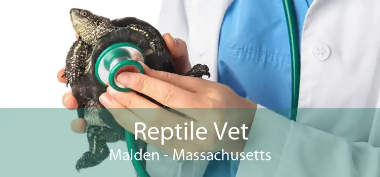 Reptile Vet Malden - Massachusetts