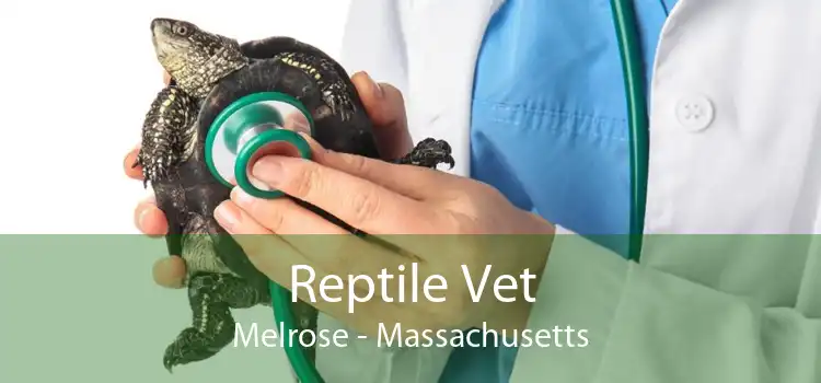 Reptile Vet Melrose - Massachusetts