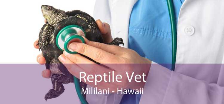 Reptile Vet Mililani - Hawaii