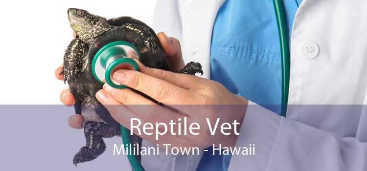 Reptile Vet Mililani Town - Hawaii