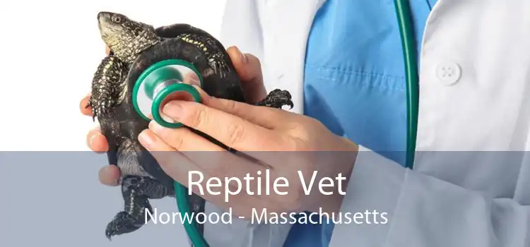 Reptile Vet Norwood - Massachusetts