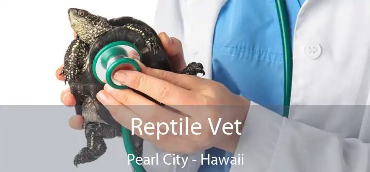 Reptile Vet Pearl City - Hawaii
