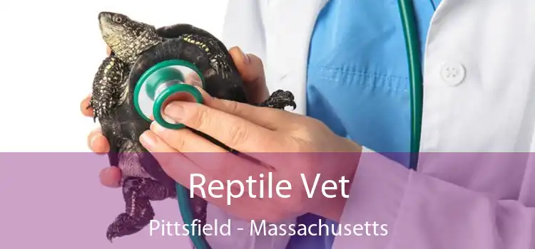 Reptile Vet Pittsfield - Massachusetts