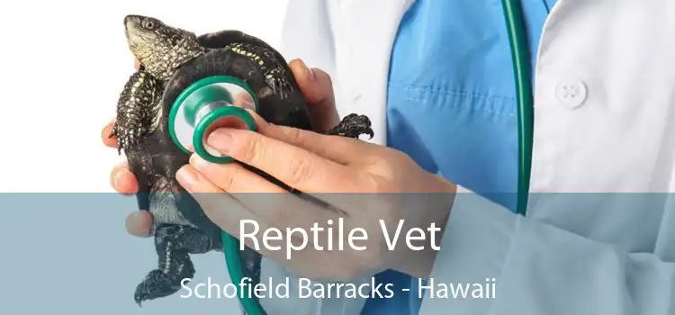 Reptile Vet Schofield Barracks - Hawaii