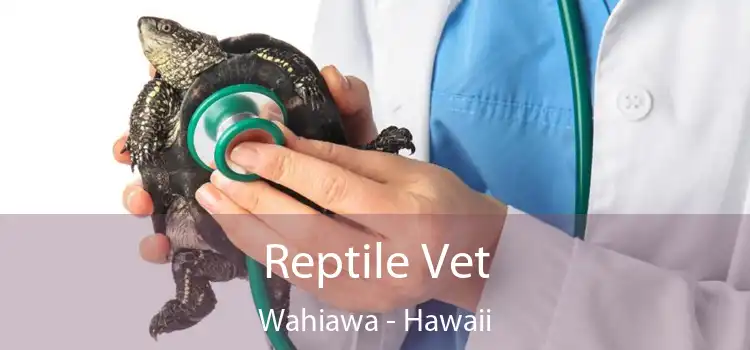 Reptile Vet Wahiawa - Hawaii