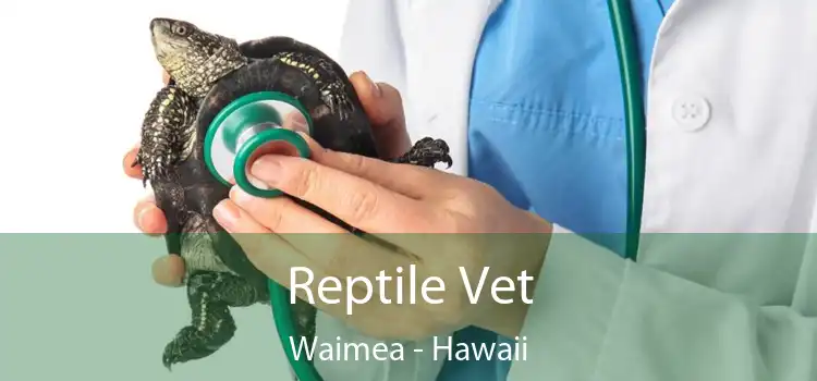 Reptile Vet Waimea - Hawaii