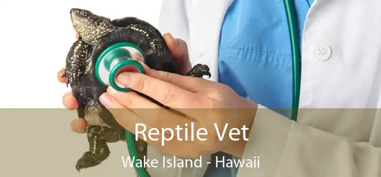 Reptile Vet Wake Island - Hawaii
