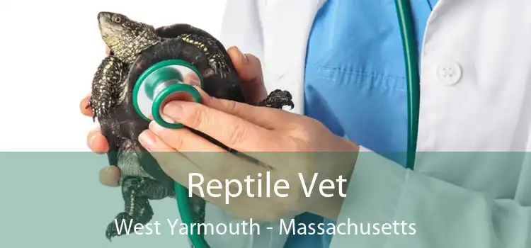 Reptile Vet West Yarmouth - Massachusetts