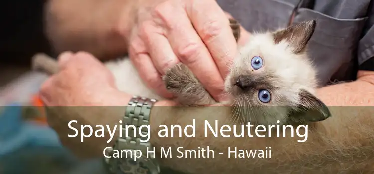Spaying and Neutering Camp H M Smith - Hawaii