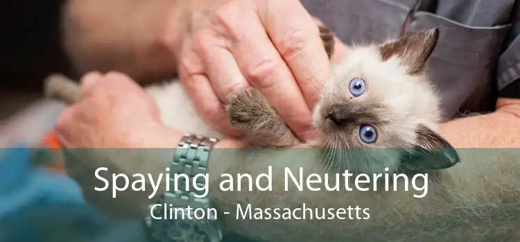 Spaying and Neutering Clinton - Massachusetts