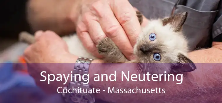 Spaying and Neutering Cochituate - Massachusetts