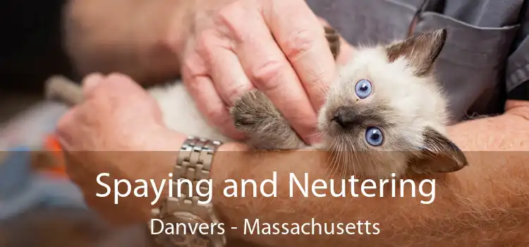Spaying and Neutering Danvers - Massachusetts