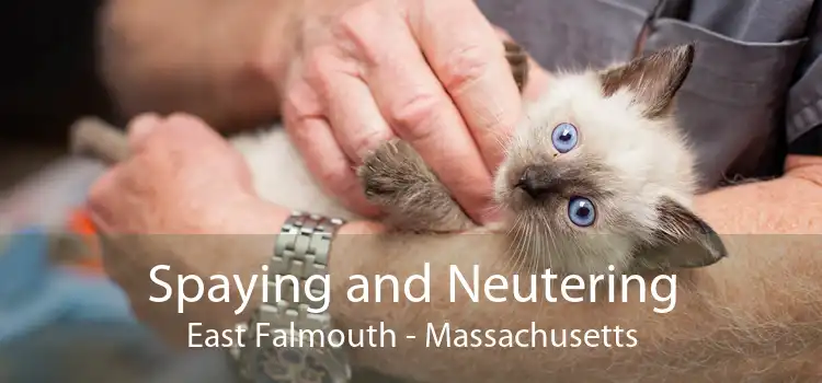 Spaying and Neutering East Falmouth - Massachusetts
