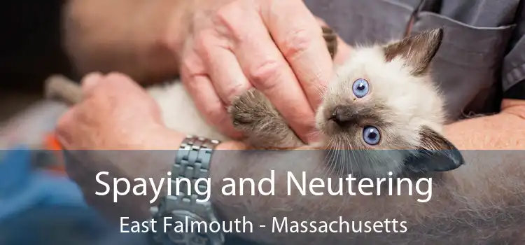 Spaying and Neutering East Falmouth - Massachusetts