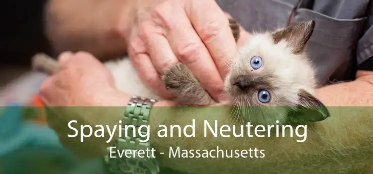 Spaying and Neutering Everett - Massachusetts