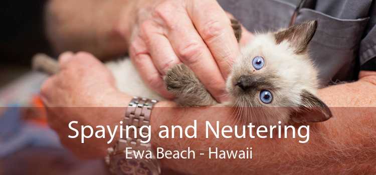 Spaying and Neutering Ewa Beach - Hawaii