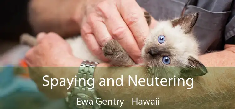 Spaying and Neutering Ewa Gentry - Hawaii