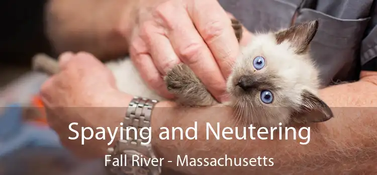 Spaying and Neutering Fall River - Massachusetts