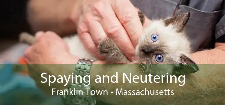 Spaying and Neutering Franklin Town - Massachusetts